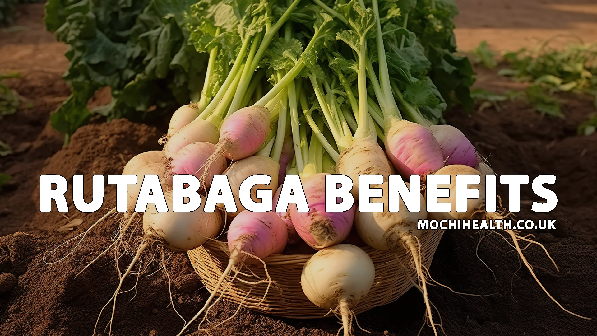 rutabaga benefits