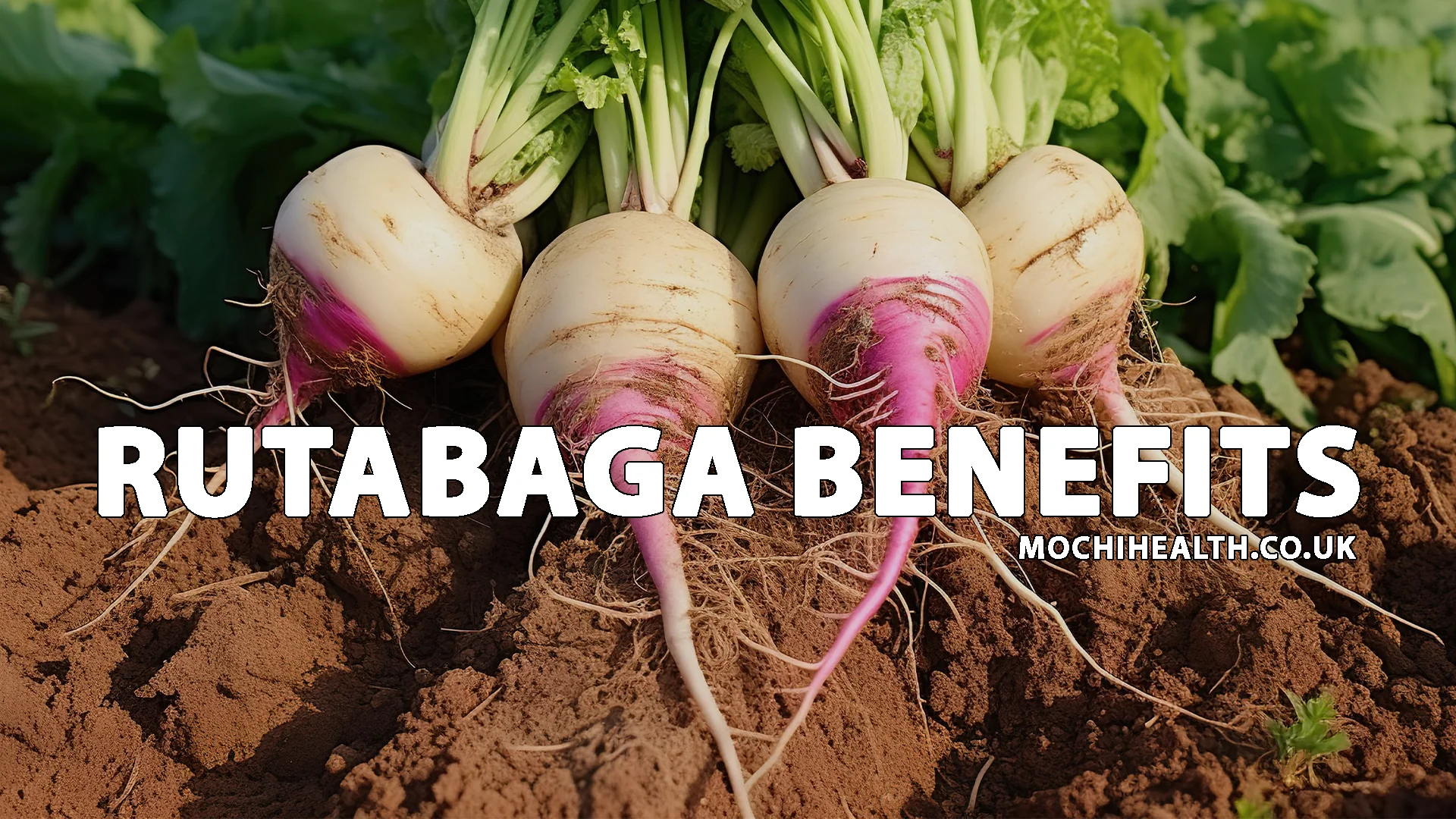 rutabaga benefits