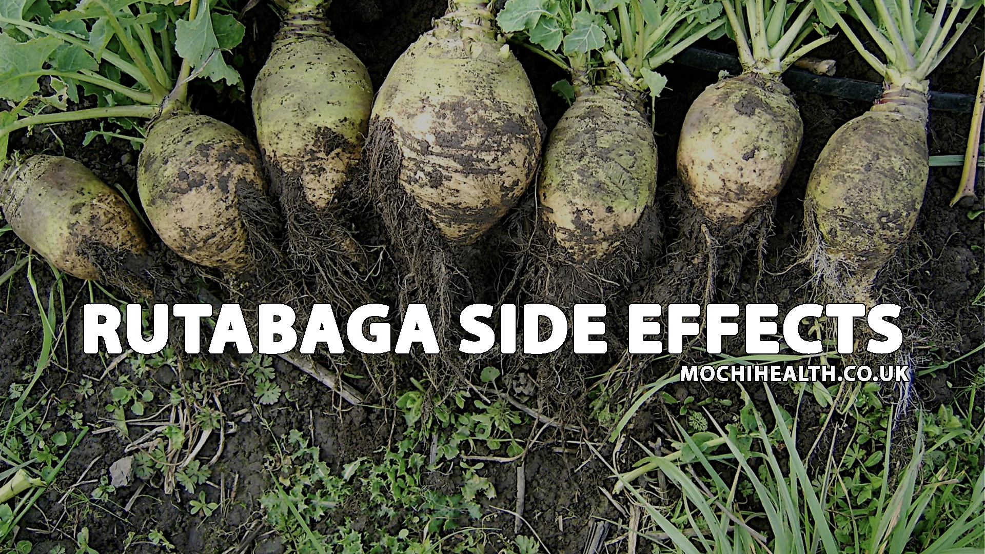Rutabaga Side Effects