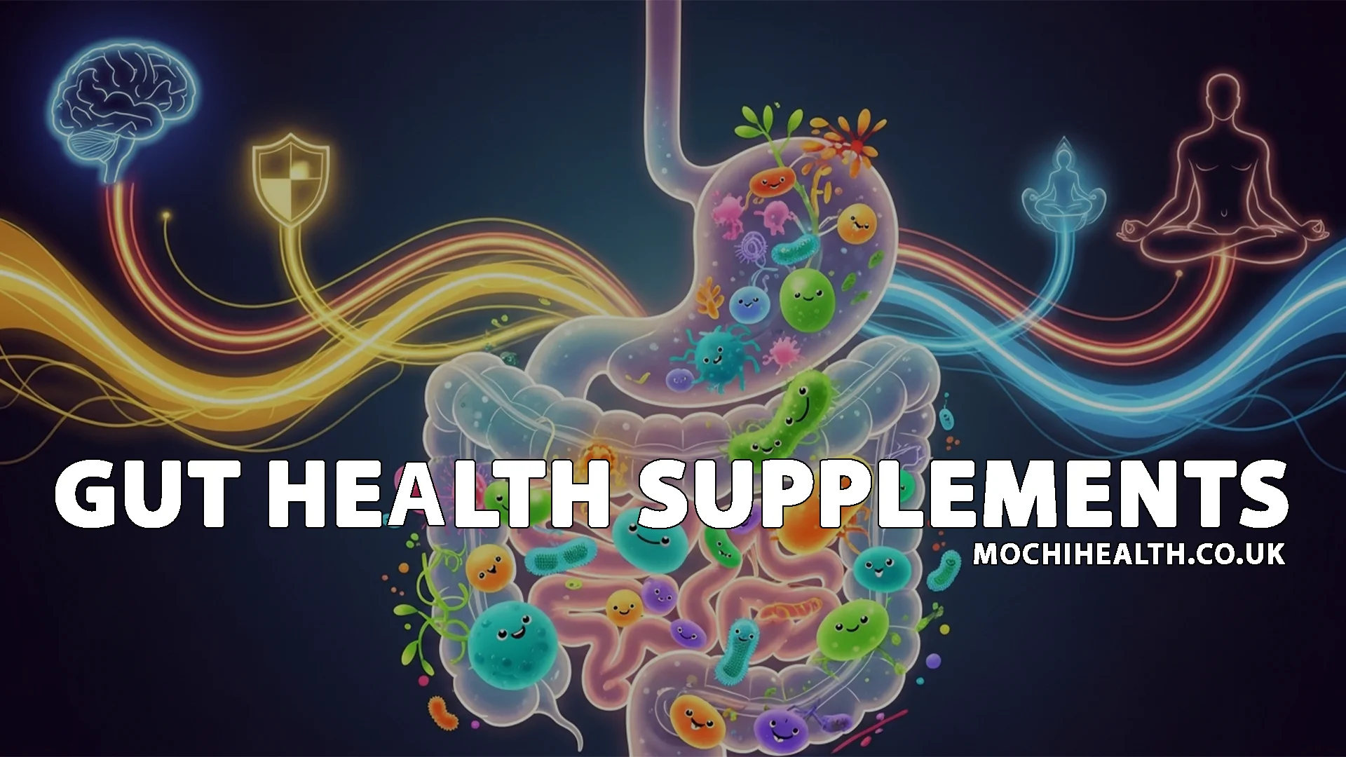 Gut Health Supplements